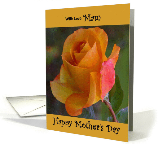 Mam / Mother's Day - Yellow Painted Rose card (1238486)