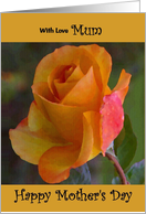 Mum / Mother’s Day - Yellow Painted Rose card
