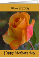 Nanny / Mother’s Day - Yellow Painted Rose card