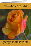 Sister-in-Law / Mother’s Day - Yellow Painted Rose card