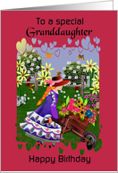 Granddaughter / Birthday - General - A Garden of Colorful Flowers card