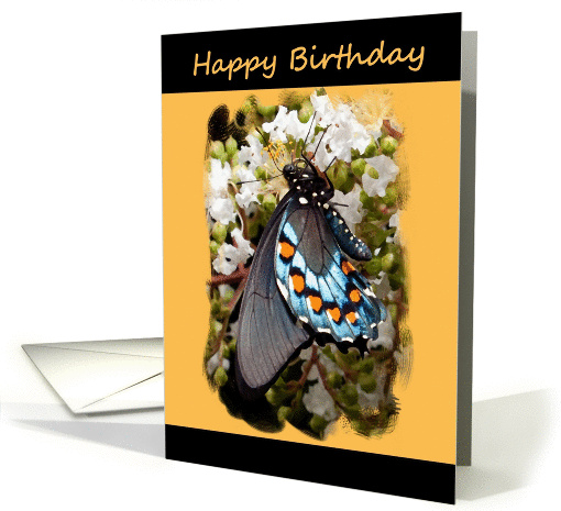 Birthday - General - Digital Oil Painted Swallowtail Butterfly card