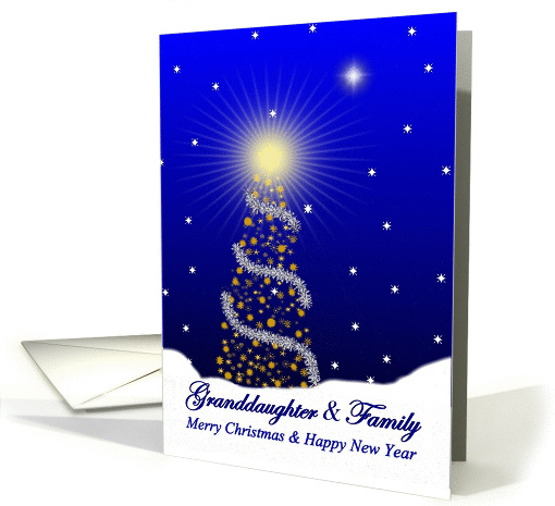 Granddaughter and Family / Merry Christmas - Happy New Year card
