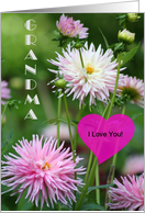Grandma I Love You / Happy Grandparent’s Day card