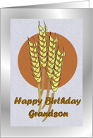 Birthday ~ Grandson ~ Autumn Harvest Wheat card