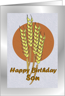 Birthday ~ Son ~ Autumn Harvest Wheat card
