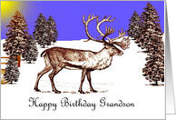 Happy Birthday ~ Grandson ~ Caribou In A Clearing card