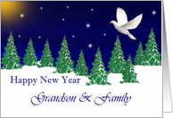 Grandson & Family - Happy New Year - Peace Dove card