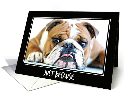 ENGLISH BULLDOG GUNNER, just because I love you card (1306148)