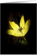 Grunge Clematis Flower Blank Card