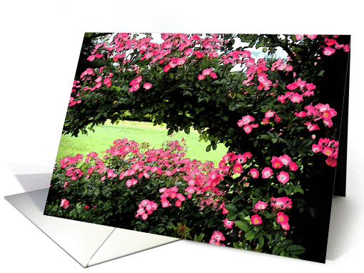 Paint for me a rose card (268572)