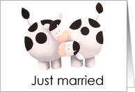 Just Married with Two Cows in Love Blank card