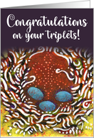 Congratulations Baby Triplets Whimsical Three Bird Eggs Elegant Nest card