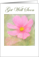 Pink Cosmos Get Well card