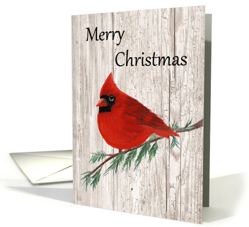 Merry Christmas Cardinal card (1487200)