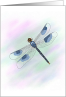 Blue Watercolor Dragonfly Birthday card