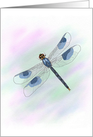 Dragonfly Birthday Large Print card