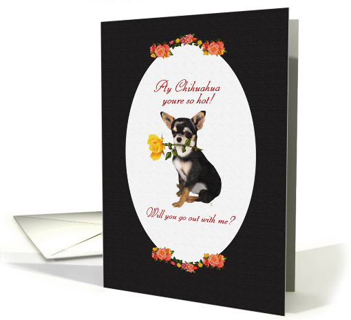 Ay Chihuahua card (282982)