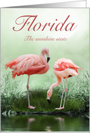 Florida The Sunshine State card