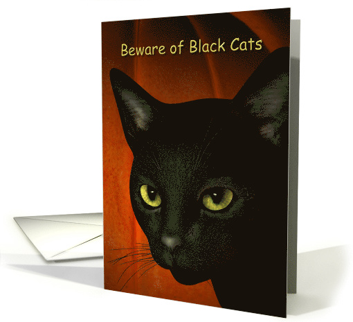 Beware of Black Cats-Halloween card (495131)