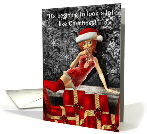 It's begining to look a lot like Christmas-sexy, adult,... (509866)