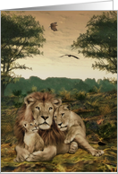 We are family- Lions, eagles, animal, wildlife card