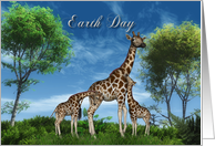 Everyday is Earth Day-Wildlife, Giraffes, Earth, Holiday, April 22 card