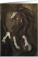 Standing Tall-Horse, Native American Day card