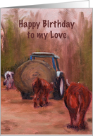 Birthday Man - cattle card