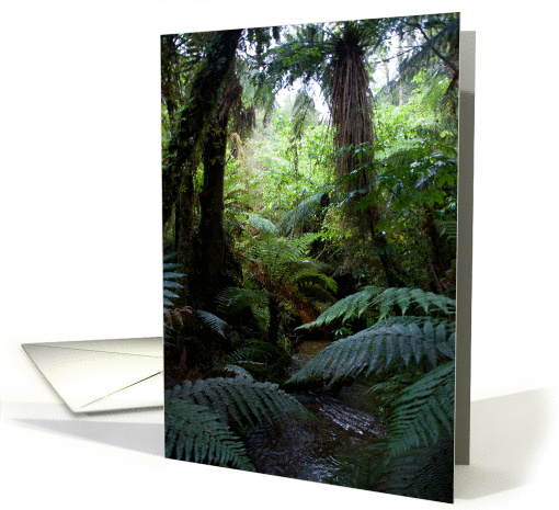 Rainforest card (368144)