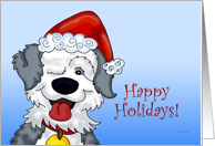 Sheepdog’s Holiday card