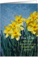 Easter - Parents - Springtime Daffodils card