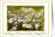 Easter to Both of you - Daisies + Buttercups card