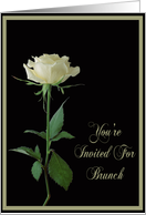 Bridesmaids Brunch Invitation Single Cream Rose card