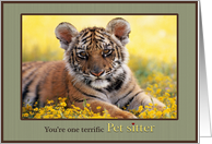 Thank You Pet Sitter Young Tiger Field of Yellow Flowers card