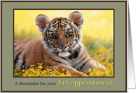 Veterinary Appointment Reminder Young Tiger Field of Yellow Flowers card