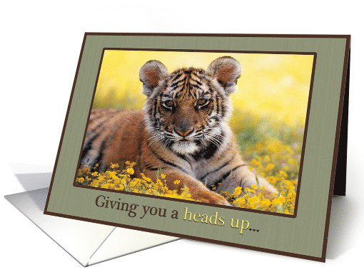 Heads Up Announcement Young Tiger Field of Yellow Flowers card