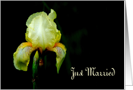 Just Married, Yellow Iris card