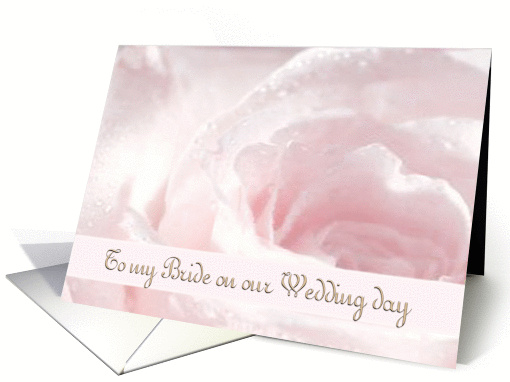 To my Bride - Wife - Wedding Day - Pastel Rose - Romantic card