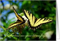 Far away - Across the miles - Swallowtail Butterflies card