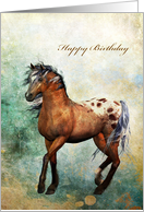 Wild Horse - Prancing- Happy Birthday card