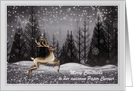 Christmas - Newspaper Carrier - Forest Deer in the Night card