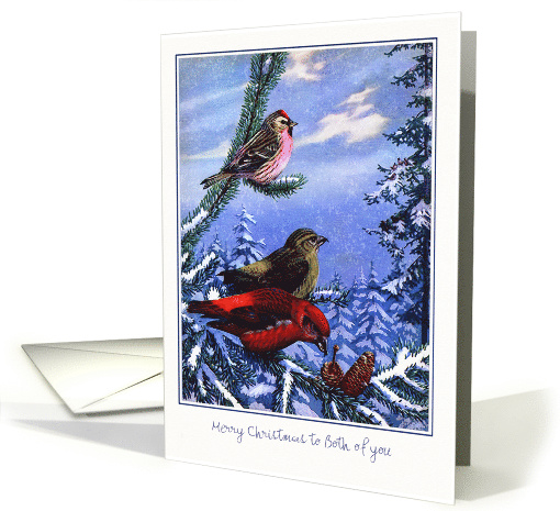Christmas - Both of You - Birds & Tree card (725667)