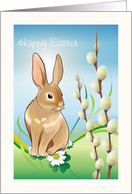 Easter - Teacher - Rabbit + Pussy Willow card