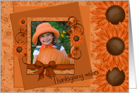 Thanksgiving - Paisley & Sunflowers - Photo Card