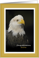 Congratulations Eagle Scout - Brother - American Bald Eagle card