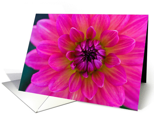Mother's Day - Bright Pink Flower - Photography card (924022)