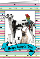 Father’s Day - Colorful Stripes and Dots Photo Card with Banner card