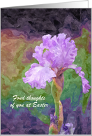 Easter - Anyone - Bearded Iris - Oil Painting card
