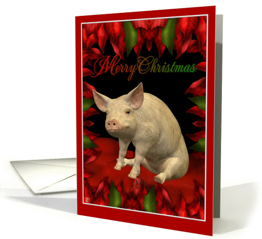 Merry Christmas - Pig, Hog card (291069)
